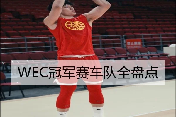 WEC冠军赛车队全盘点